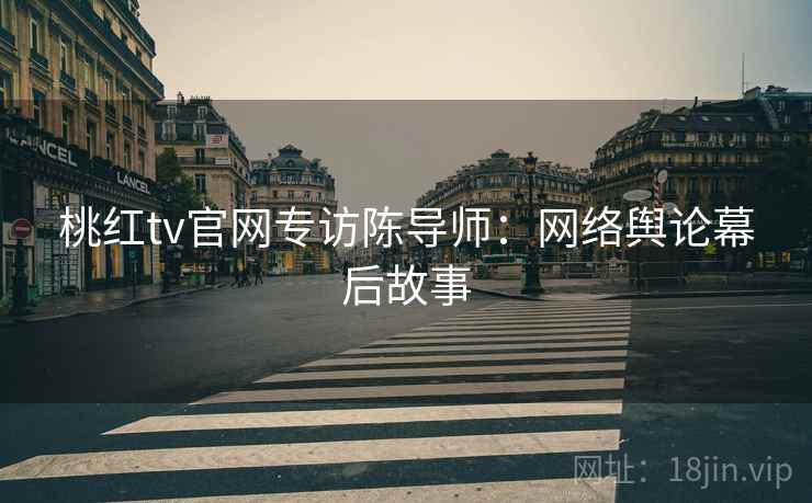 桃红tv官网专访陈导师：网络舆论幕后故事