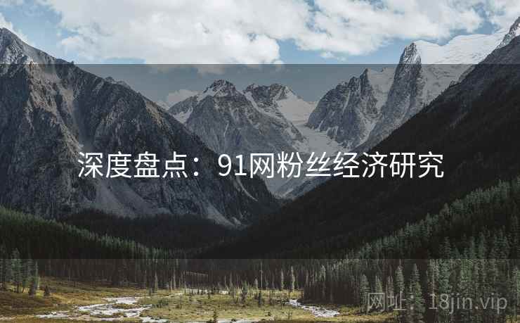 深度盘点:91网粉丝经济研究