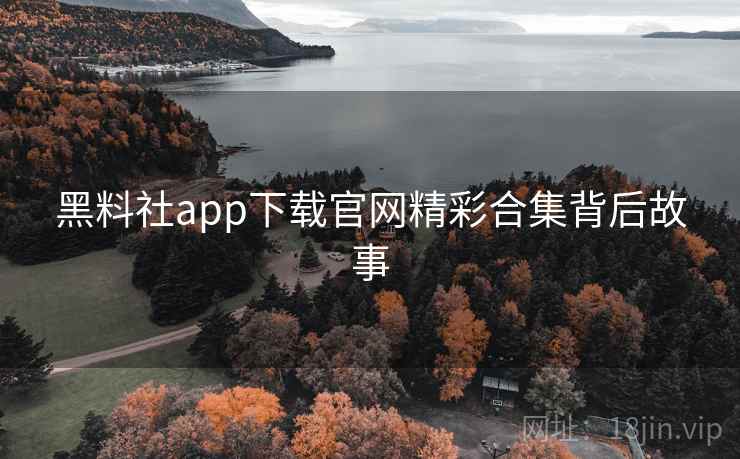 黑料社app下载官网精彩合集背后故事