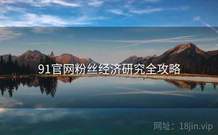 91官网粉丝经济研究全攻略